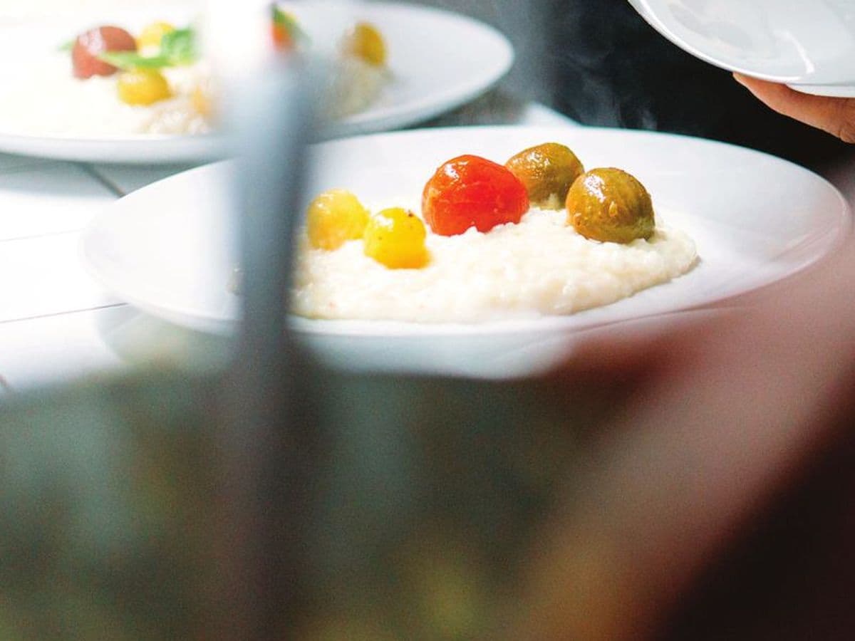 A prepared dish ready for service